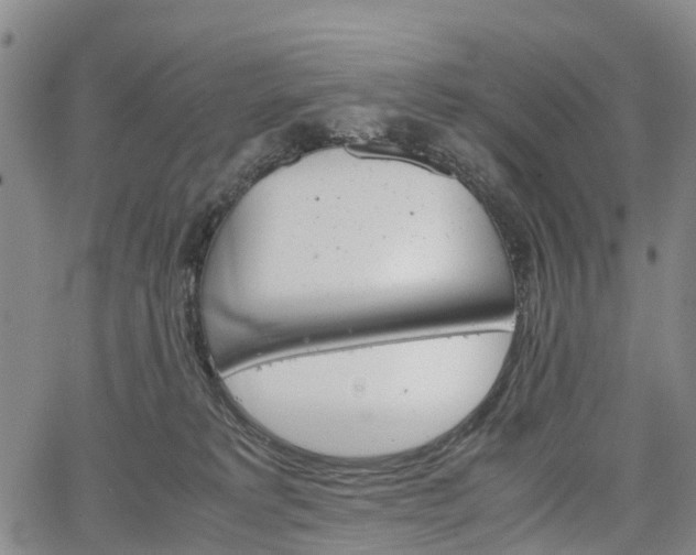 X0000067500229200604101238