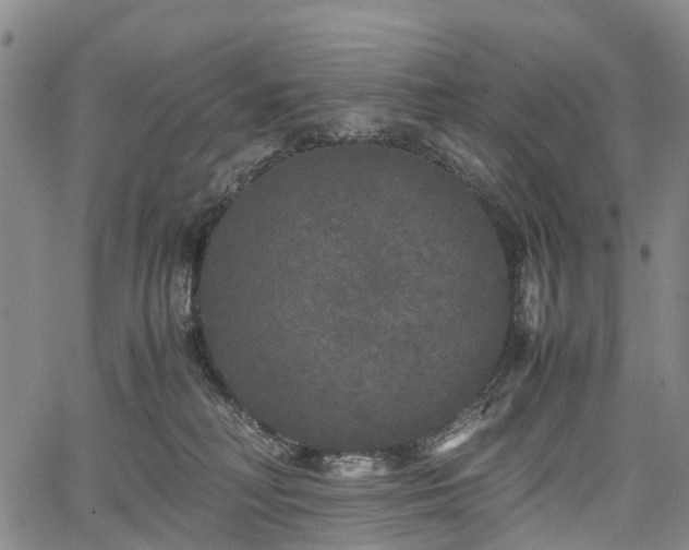 X0000067500230200604101238