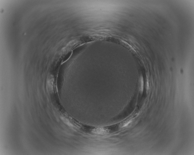 X0000067500231200604101238