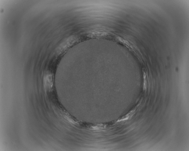 X0000067500232200604101238