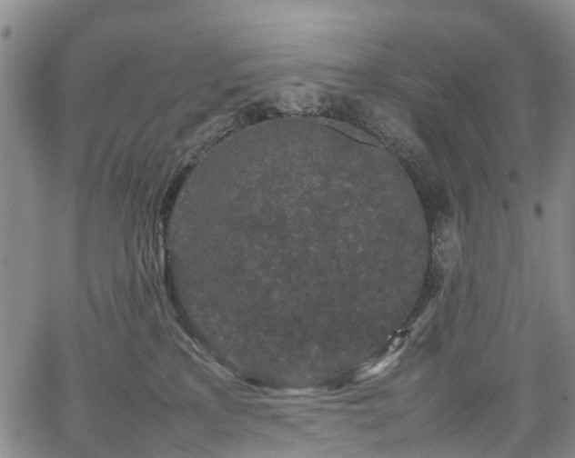 X0000067500233200604101238