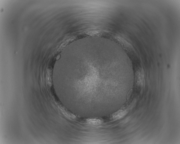 X0000067500234200604101238