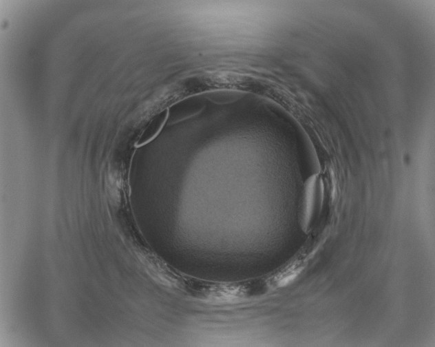 X0000067500235200604101238