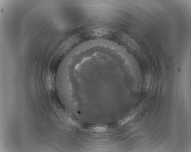 X0000067500236200604101238