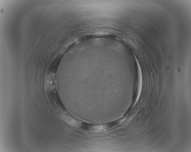 X0000067500237200604101238