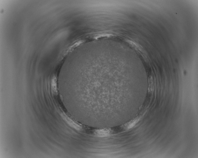 X0000067500238200604101238