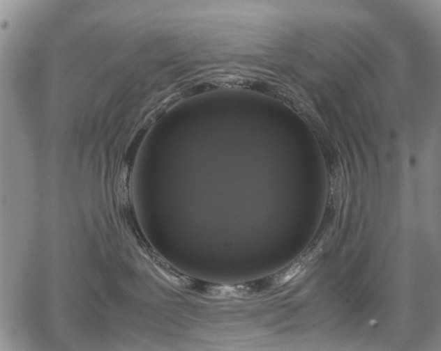 X0000067500239200604101238