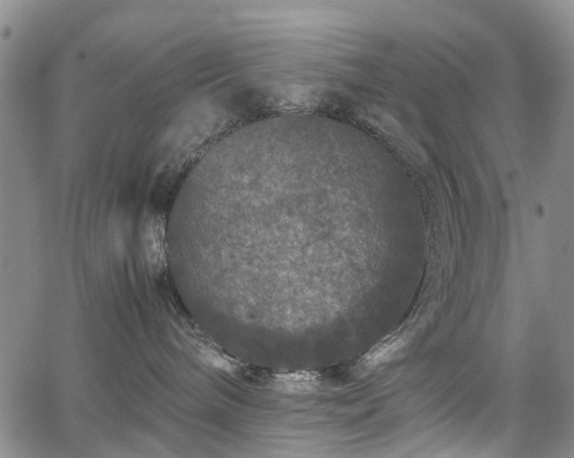 X0000067500240200604101238