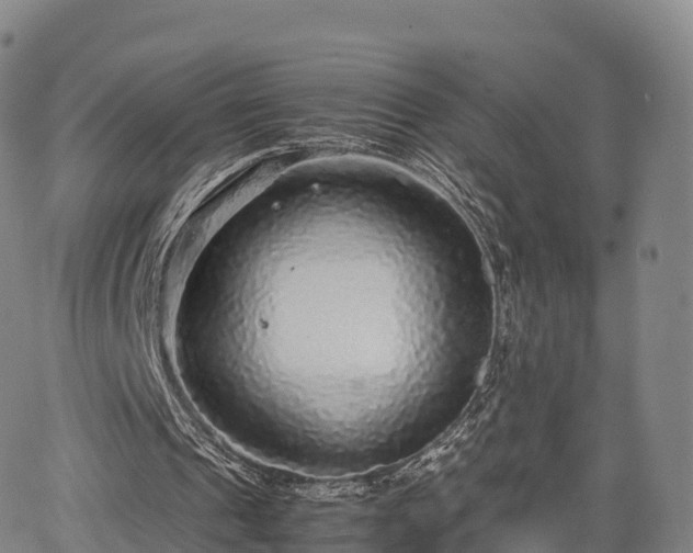 X0000067500241200604101237