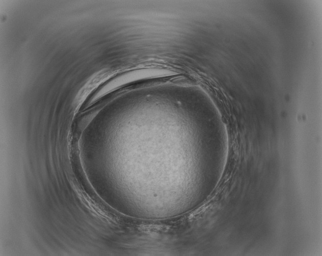 X0000067500242200604101237