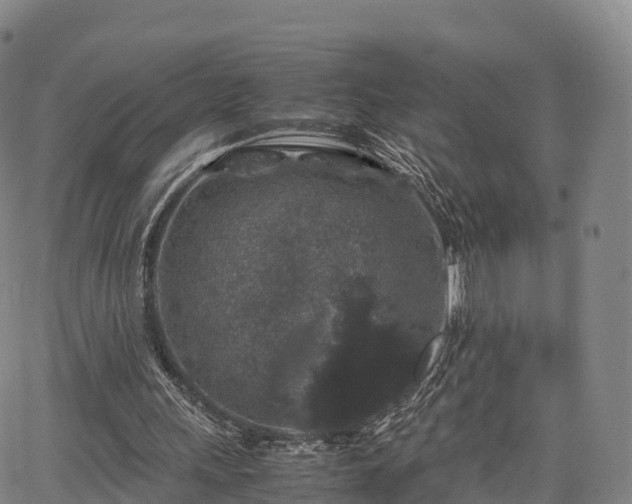 X0000067500243200604101237