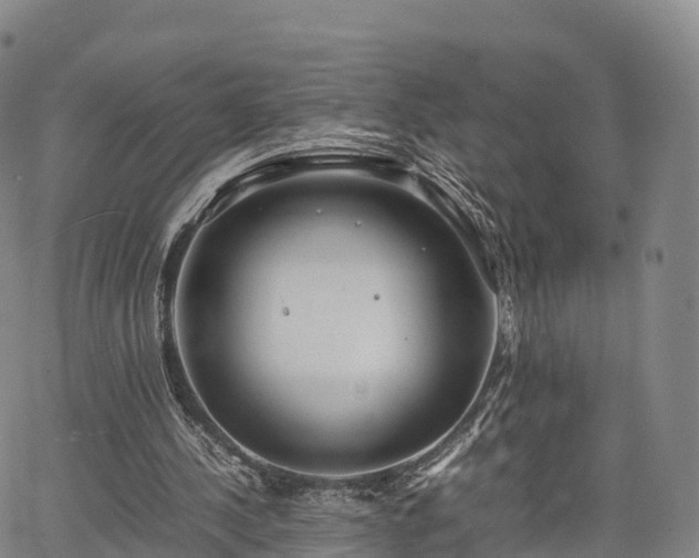 X0000067500244200604101237