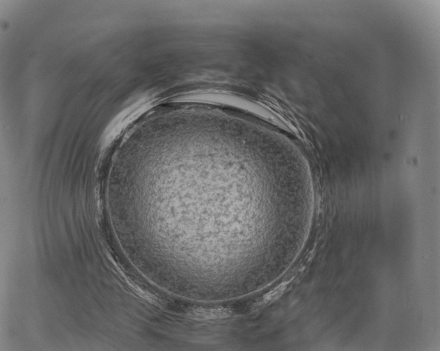 X0000067500245200604101237