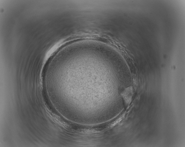 X0000067500246200604101237