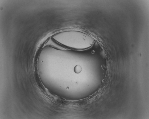 X0000067500248200604101238