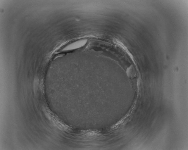 X0000067500249200604101238