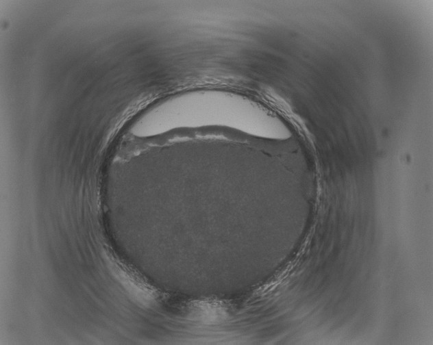 X0000067500250200604101238