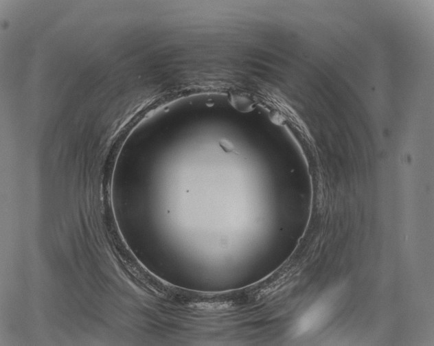 X0000067500251200604101238