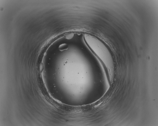 X0000067500252200604101238