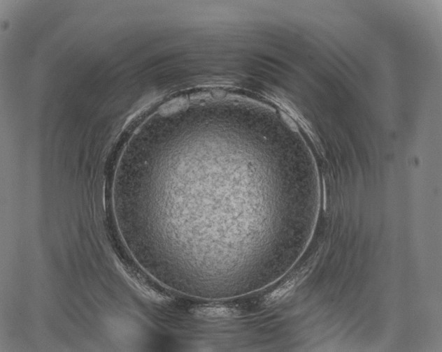 X0000067500253200604101238