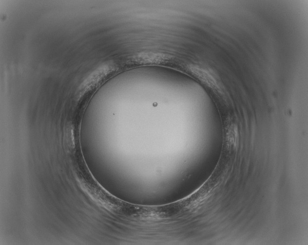 X0000067500254200604101238