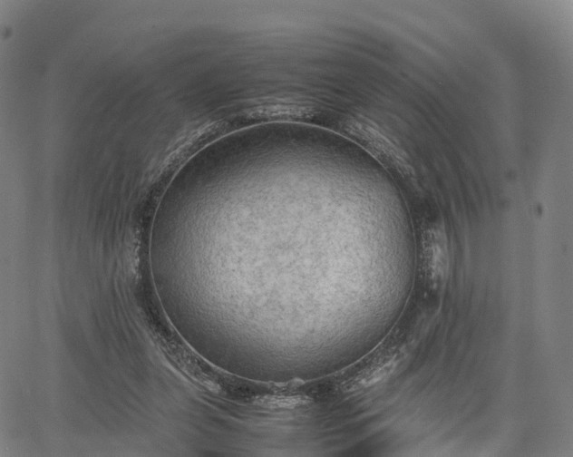 X0000067500255200604101238