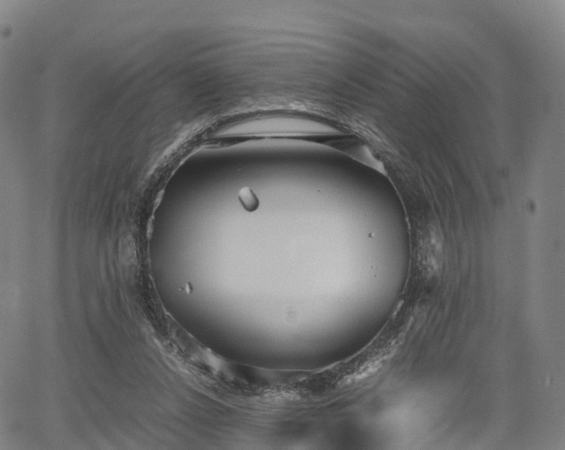 X0000067500256200604101238