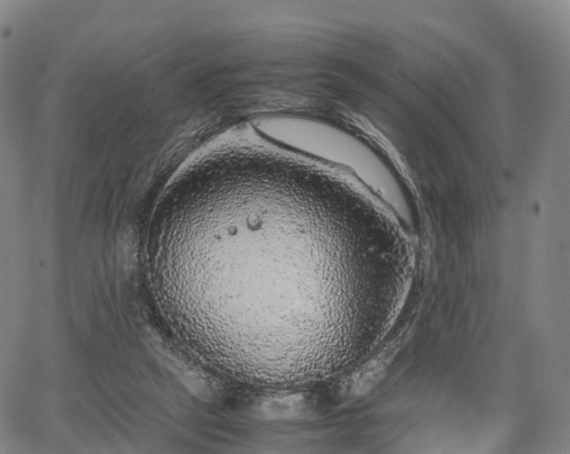 X0000067500257200604101238