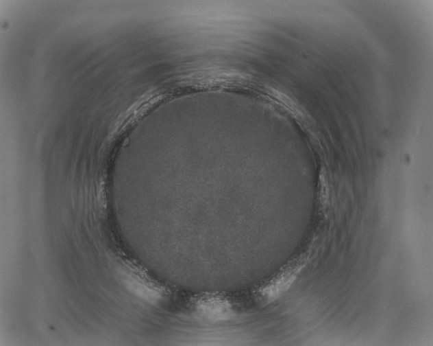 X0000067500258200604101238