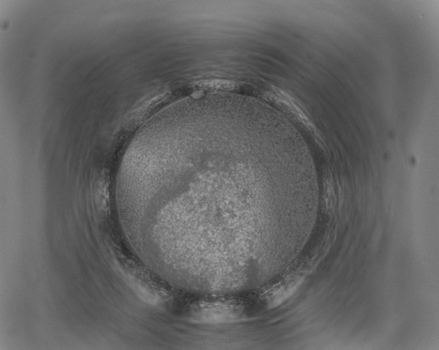 X0000067500259200604101238