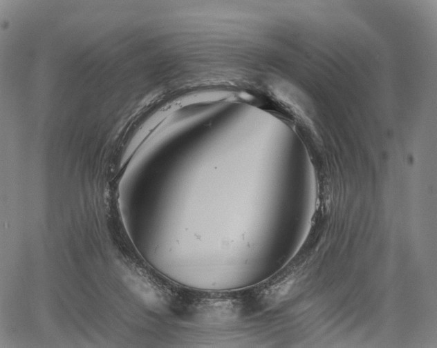 X0000067500260200604101238