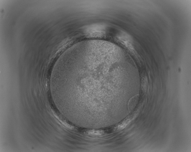 X0000067500261200604101238