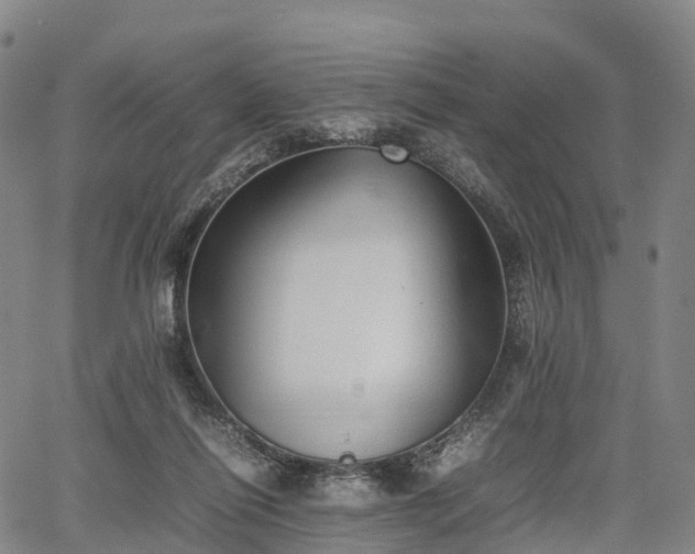 X0000067500262200604101238