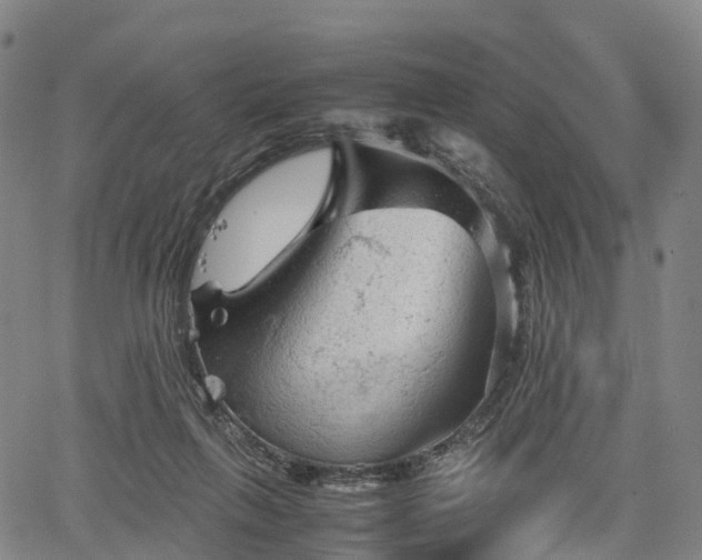 X0000067500263200604101238