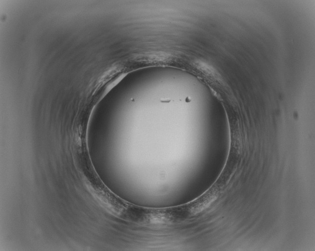 X0000067500264200604101238