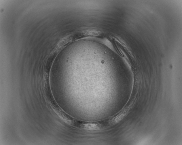 X0000067500265200604101238