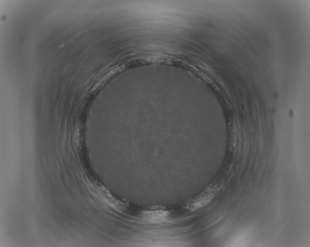 X0000067500266200604101238