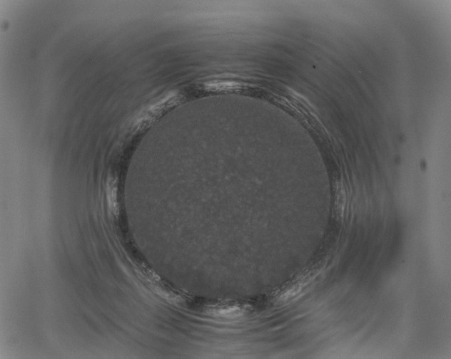 X0000067500267200604101238