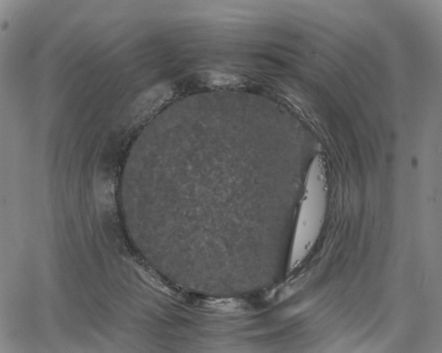 X0000067500269200604101238