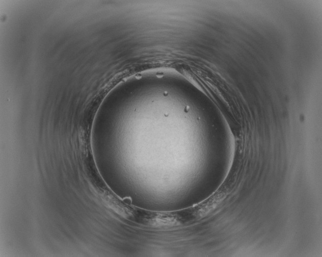 X0000067500270200604101238