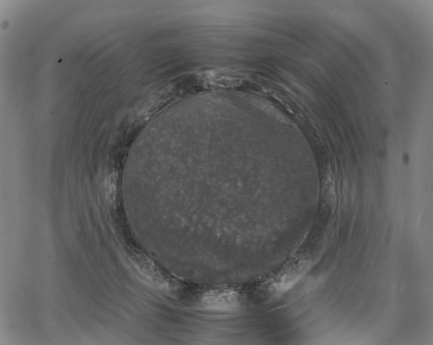 X0000067500271200604101238