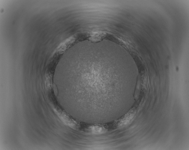 X0000067500272200604101238