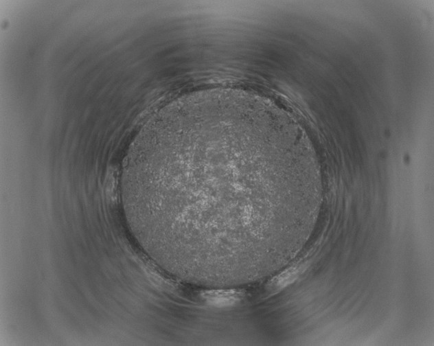 X0000067500273200604101238