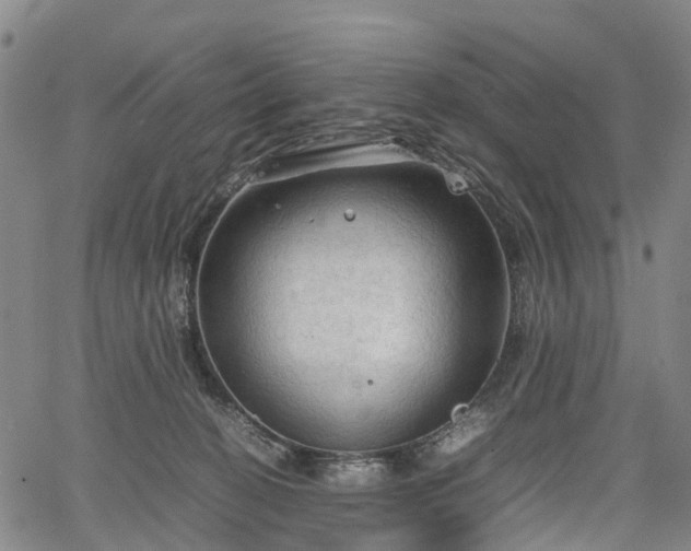 X0000067500274200604101238