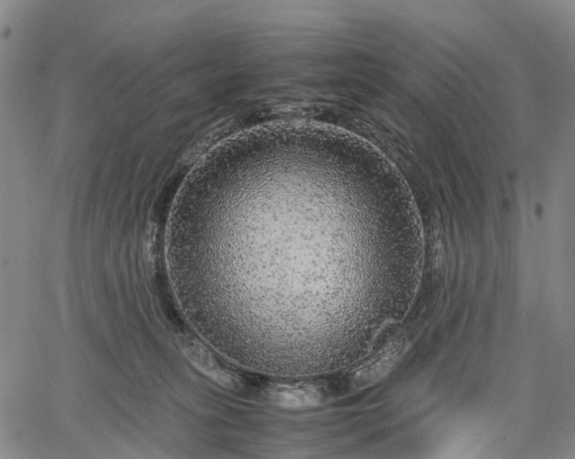 X0000067500275200604101238