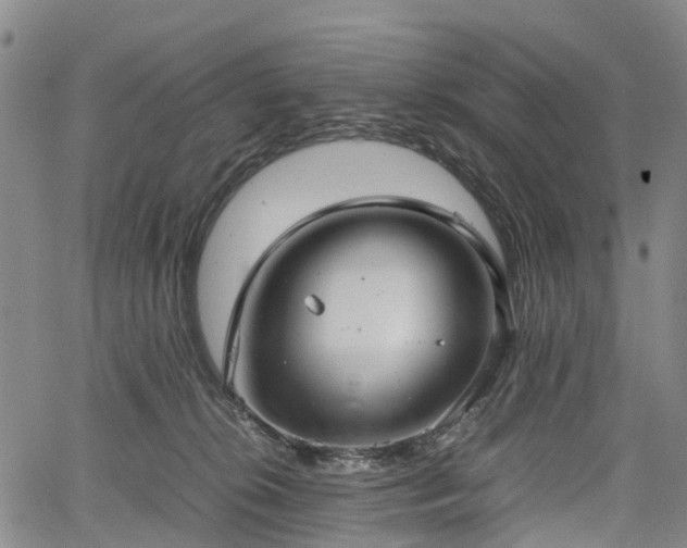 X0000067500276200604101238