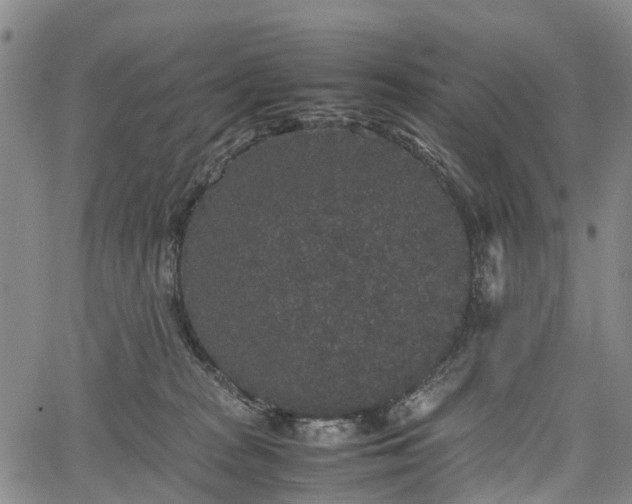 X0000067500277200604101238