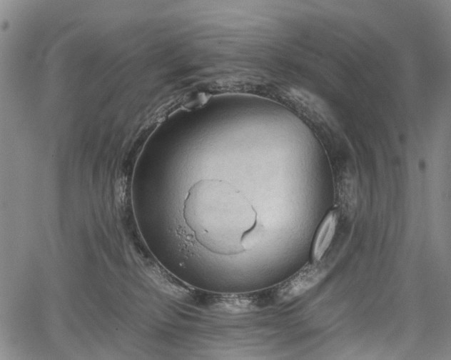 X0000067500278200604101238