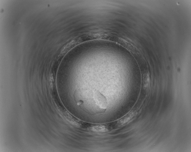 X0000067500279200604101238