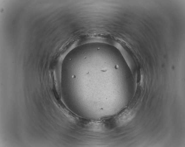 X0000067500280200604101238